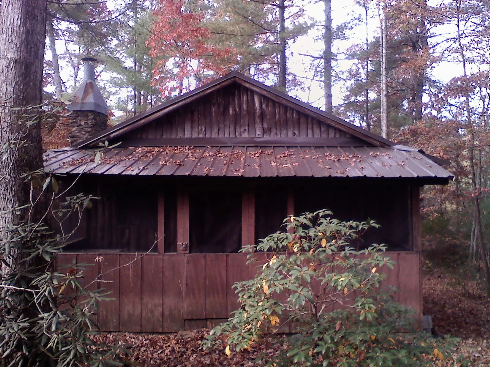 Metal roof over the screened porch of a rustic cabin in Bunker Hill